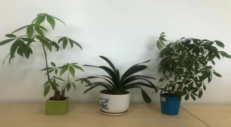 全面复工