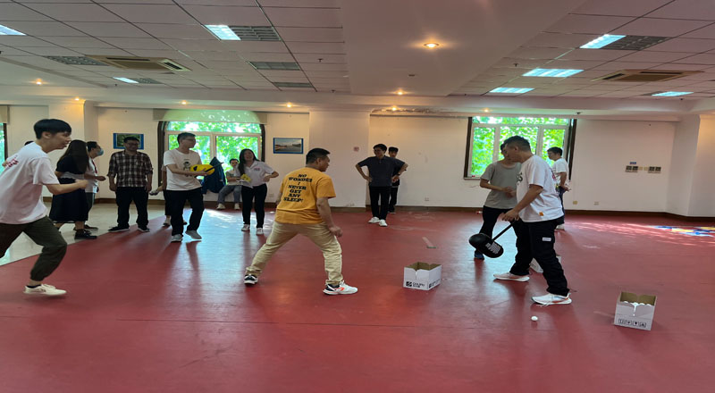 “喜迎二十大、永远跟党走、奋进新时代”主题团日活动暨“铿锵十年 我与盛同共发展”活动