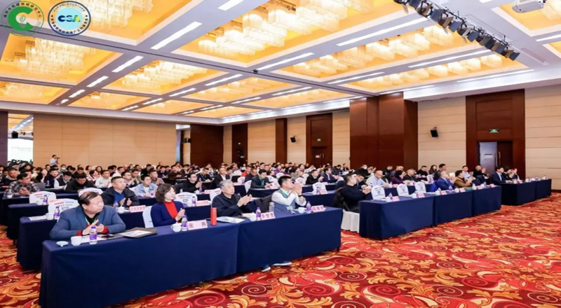 标准引领 智控低碳｜盛同公司受邀参加2025年北京城市照明学术年会