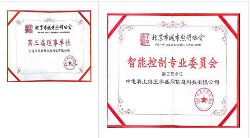 标准引领 智控低碳｜盛同公司受邀参加2025年北京城市照明学术年会