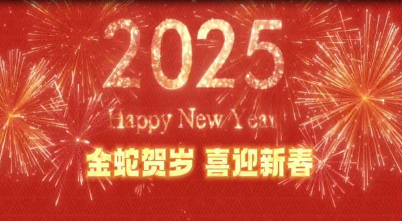盛同公司开展2025年“迎新春”活动